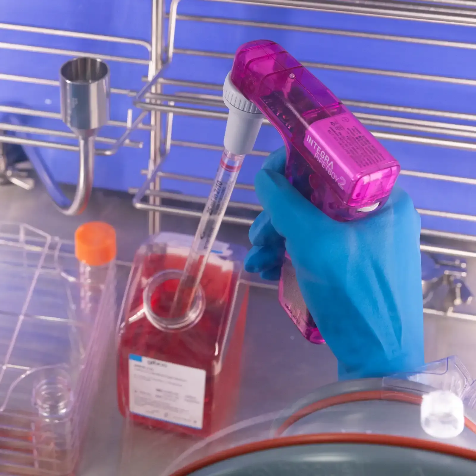 Close up of a laboratory scientist using a mechanical pipette in a clean room glove box