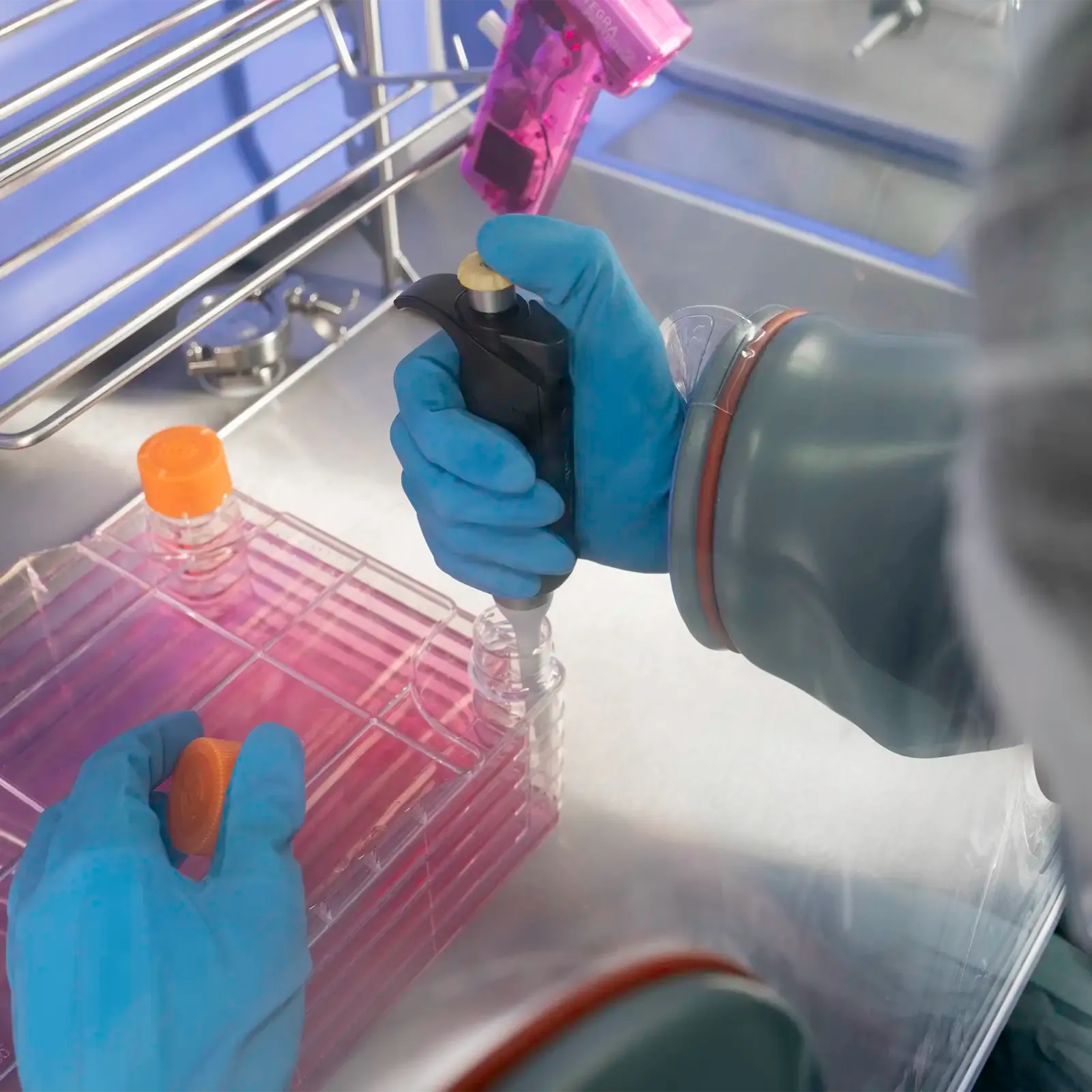 Close up of hands operating a pipette in a cleanroom glovebox