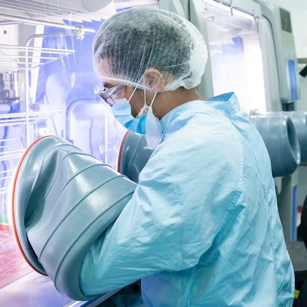 Link to Adeno-Associated Viral Vectors (AAV)