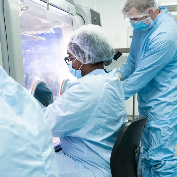 Link to Retroviral Vectors (RV)